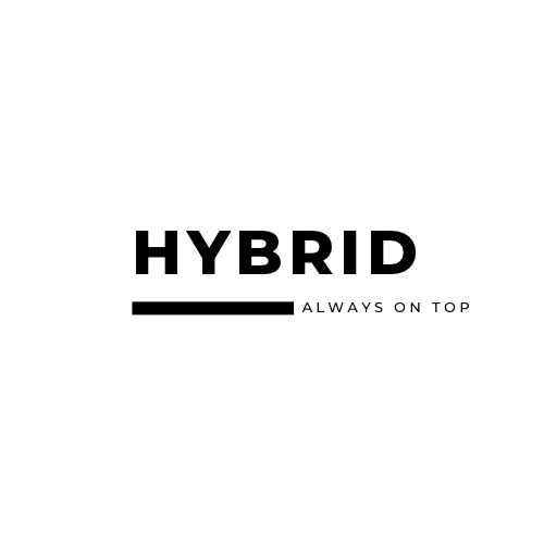 HYBRID 365 Mentoring Programme